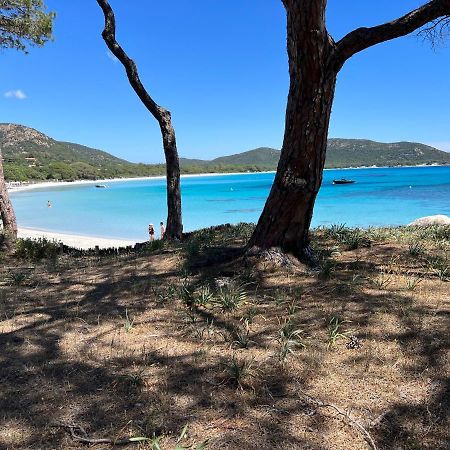 Palombaggia Villa Porto-Vecchio  Luaran gambar
