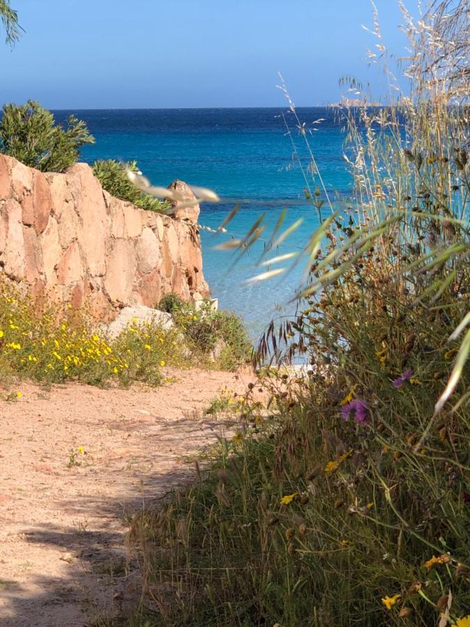Palombaggia Villa Porto-Vecchio  Luaran gambar