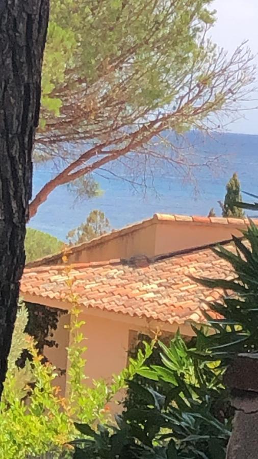 Palombaggia Villa Porto-Vecchio  Luaran gambar