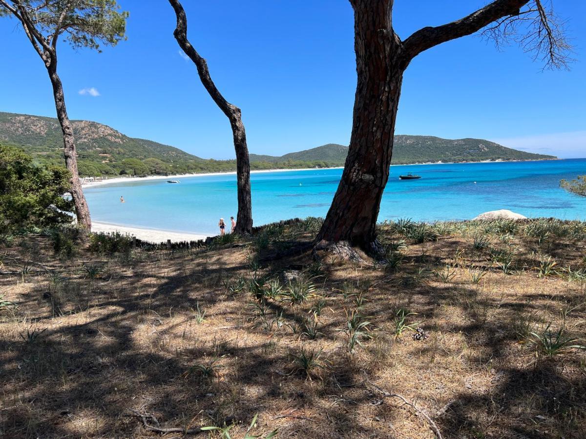 Palombaggia Villa Porto-Vecchio  Luaran gambar